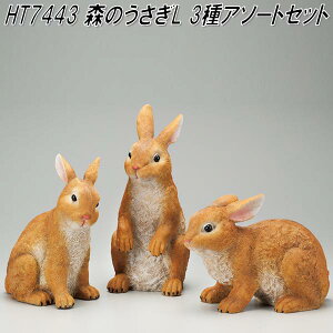 GC`c[I[@HT7443@X̂L@3A\[g@H-295y[J[zy/szyI[ig/|u/CeAuz