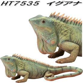 【入荷未定】HT7535 イグアナ オーナメント エイチツーオー HT-7535 【送料無料（北海道・沖縄・離島は除く）】【メーカー直送】【代引き/同梱不可】【ガーデン置物 インテリア置物 園芸置物 H2O】