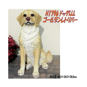 y(kCEE)zGC`c[I[@H1796@hbOLLL@S[fgo[@H-1796y[J[zy/szỹK[fu CeAu |u