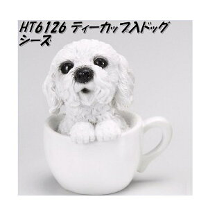 GC`c[I[@HT6126@eB[JbvhbO@V[Y@HT-6126y[J[zy/szyK[fu/CeAu/|uz