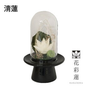 アトリエモノ　8001　清蓮　せいれん　プリザーブドフラワー【お取寄せ商品】アトリエ・モノ　花　フラワー　蓮の花