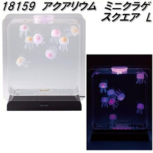 CVO@18159@ANAE@~jNQ@XNGA@Ly[J[izyANAE@CeAu@فz