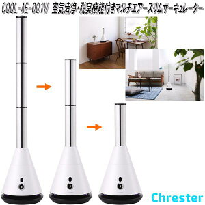 NX^[@COOL-AE-001B@CEEL@\t }`GA[XT[L[^[@y(E)zy[J[izC@@T[L[^[@3iK