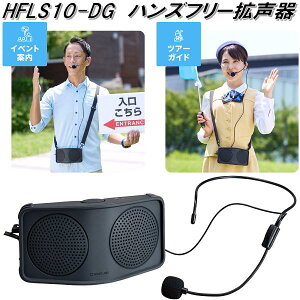 LOW@HFLS10-DG@nYt[@g@HFLS10DGy񂹏izWXs[J[@dd40ԁ@h