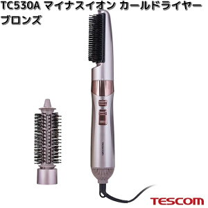 TESCOM@TC530A-N@}CiXCI@J[hC[@uY@300W/700W@TC530Ay񂹁zyszeXR@wA[@hC[@CI@wAPA@uV@e@e@Ɠd
