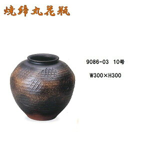 y(kCEE)zMy 9086-03 Ēۉԕr 10@B010-01y[J[izy/szy˔n@MyāEԊEԕrEԁz