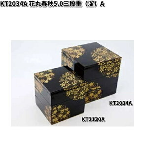 ks@KT2034A@ԊۏtH5.0OidijiA)y񂹏izd@