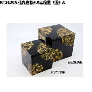 ks@KT2130A@ԊۏtH4.0OidijiA)y񂹏izd@