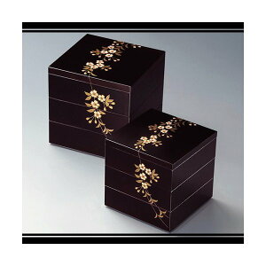 ks@KZ2040 ~R6.0Oid() y񂹏izydEpiz