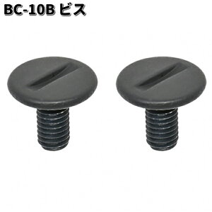 LEAD BC-10B ビス 1セット(2個入り) リペアパーツ リード工業 BC10【ネコポス対応品2】【お取り寄せ商品】ヘルメット シールド 交換部品 リペアパーツ パーツ