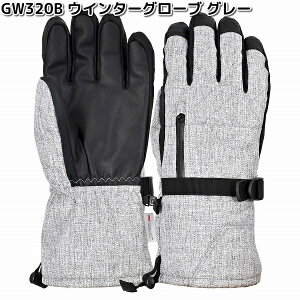 LEAD@GW-320B@EB^[O[u@O[@t[TCY@[hHƁ@GW320y񂹏izoCNpi@h@O[u@