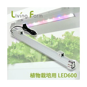 LFS-600@A͔|p PxLED600 100Vdl@1{@ԁEn@LED@rOt@[@LFS600y[J[zy/sz_؁@͔|Lbg@k͔|@͔|Zbg@LivingFarm