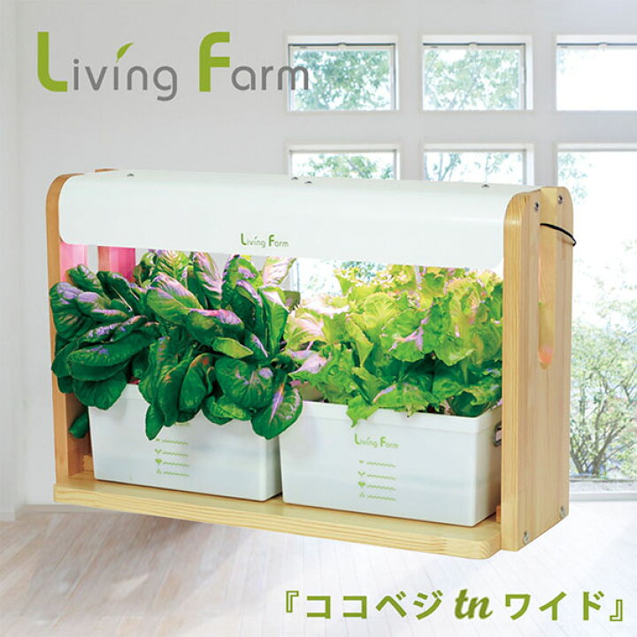 楽天市場】LF-CVTN-W ココベジキットシリーズ 水耕栽培器 ココべジTN 