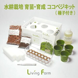 LFS-021@cE琬@RRxWLbg@[t^X@^lt@rOt@[@LFS021y[J[zy^sz_؁@͔|Lbg@k͔|@͔|Zbg@LivingFar