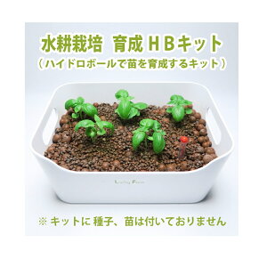 LFS-080@k͔|Lbg@nCh{[@琬@HBLbg@qʔ@rOt@[@LFS080y[J[zy^sz͔|Lbg@k͔|@LivingFarm