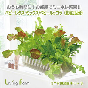 LFS-320@~jk؉LbgS@xr[[t@bR@rOt@[@LFS320y[J[zy^sz_؁@͔|Lbg@k͔|@͔|Zbg@LivingFarm