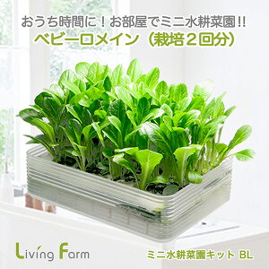 LFS-326@~jk؉LbgBL@xr[C@rOt@[@LFS326y[J[zy^sz_؁@͔|Lbg@k͔|@͔|Zbg@LivingFarm
