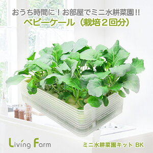 LFS-327@~jk؉LbgBK@xr[P[@LFS327y[J[zy^sz_؁@͔|Lbg@k͔|@͔|Zbg@LivingFarm