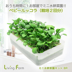 LFS-328@~jk؉LbgBR@xr[bR@rOt@[@LFS328y[J[zy^sz_؁@͔|Lbg@k͔|@͔|Zbg@LivingFarm