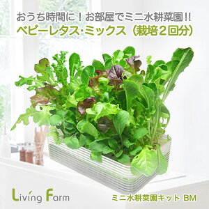 LFS-329@~jk؉LbgBM@xr[^XE~bNX @rOt@[@LFS329y[J[zy^sz_؁@͔|Lbg@k͔|@͔|Zbg@LivingFarm