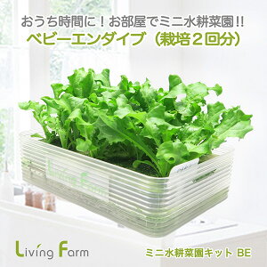 LFS-330@~jk؉LbgBE@xr[G_Cu@rOt@[@LFS330y[J[zy^sz_؁@͔|Lbg@k͔|@͔|Zbg@LivingFarm