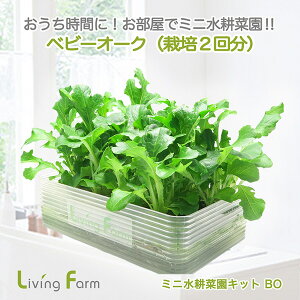 LFS-331@~jk؉LbgBO@xr[I[N@rOt@[@LFS331y[J[zy^sz_؁@͔|Lbg@k͔|@͔|Zbg@LivingFarm