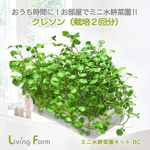 LFS-332@~jk؉LbgBC@N\@rOt@[@LFS332y[J[zy^sz_؁@͔|Lbg@k͔|@͔|Zbg@LivingFarm