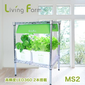 LF-MSL2@k͔|Lbg@rOt@[@LFMSL2y[J[zy^sz_؁@͔|Lbg@k͔|@͔|Zbg@LivingFarm