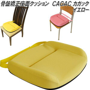 K-CGC-333 �w�K�N�b�V�����@�J�K�b�N�@CAGAC L �C�G���[�y��������(�k�C���E����E����������)�z�y���[�J�[�����z�y�����^����s�z�y�ەH�H�Ɓ@���ՃT�|�[�g�N�b�V�����@�������p���@�L�w