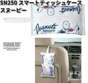 SN250@X}[geBbVP[X@Xk[s[@M@SN-250 y񂹏izJ[pi@ebV{bNX