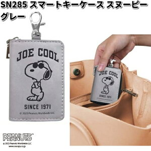 SN285@X}[gL[P[X@O[@Xk[s[@M@SN-285ylR|XΉi1zy񂹏izJ[pi@L[z_[@L[P[X