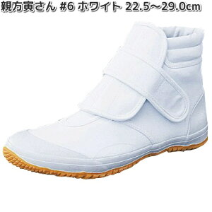 e Ђ@#6@zCg@22.5`29.0cm@~hJbgV[Y@RSy񂹏izjp@܁@gr