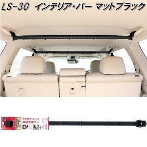 Ng@W[@LS-30@CeAEo[@}bgubN@LS30y񂹏izԓ@nK[@AVXgo[@VXeLA@CeAo[