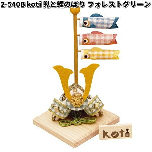 ݌ɂ@@ERhE@2-540B@܌l`@ koti@ReB@ƌ̂ڂ@tHXgO[@002-0540By񂹏izՓ@[߂̐ߋ@܌l`@@̂ڂ@