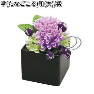 ERhE@57-31A@@a@@@{y񂹏izyՒd@ybg{@ԁ@ԁ@tz