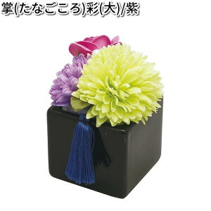 ERhE@57-5A@@ʁ@@@{y񂹏izyՒd@ybg{@ԁ@ԁ@tz