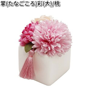 ERhE@57-5B@@ʁ@@@{y񂹏izyՒd@ybg{@ԁ@ԁ@tz