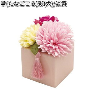 ERhE@57-5C@@ʁ@@W@{y񂹏izyՒd@ybg{@ԁ@ԁ@tz