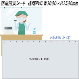 レジ前　飛沫感染対策　静電防炎シート カーテン ハトメ付き　W3000×H1500mm【送料無料(北海道・沖縄・離島を除く)】【メーカー直送品】【同梱/代引き不可】【受注生産品】透明ビニールカーテン　透明ビニールシート