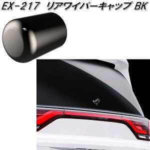 YƁ@EX-217@ACp[Lbv@ubN@EX217y񂹏izJ[pi@EXEA@Cp[@{g@Lbv@Jo[@X[WO