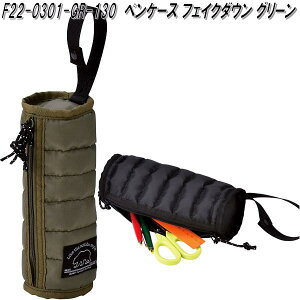 ZgNtg@F22-0301-GR-130@yP[X@tFCN_E@O[y񂹏izyP[X@M@M@|[`@@[@