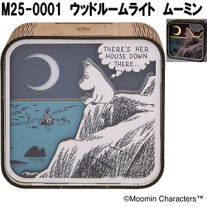 ZgNtg@M25-0001@Ebh[Cg@[~@u^@USB Type-Cy(E)zy񂹏iz[v@[hCg@[hv