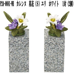 RENNU@P24-0881-WH@Jk@ԁ@S@@zCg@1(2)@퐻@@P240881WHy(E)zy񂹁z􂦂@͂Ȃ@ԁ@ԁ@ԁ@