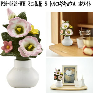 ��RENNU�@P26-0823-WH�@�J�����k�@�~�j���ԁ@S�@�g���R�M�L���EA�@�z���C�g�y��������(����E����������)�z�y�����񂹏��i�z�􂦂�@�͂�Ȃ��@�������ԁ@���ԁ@���ԁ@����Q��@�y�b�g��