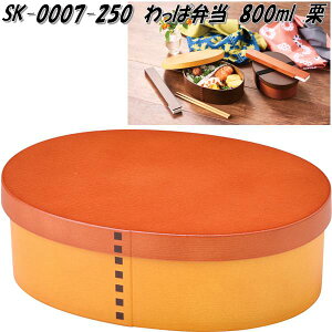 ZgNtg SK-0007-250@ϕٓ 800ml@I@SK0007y񂹏izyٓ@ρ@с@@@[@P[Xz