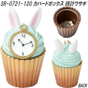 ZgNtg SR-0721-120@Jo[h{bNX@vETM@SR0721y񂹏izyANZT[@P[X@{bNX@[ AXC_[h svc̍̃AXz