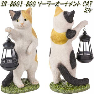 ZgNtg SR-8001-800@\[[I[ig Lbg ~P SR8001y񂹏izyu@\[[Cg@[hv@|z