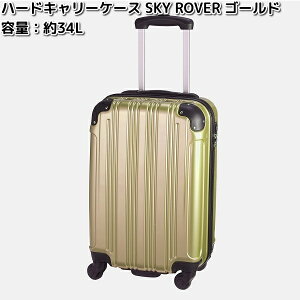 n[hL[P[X @SKY ROVER@XJC[o[@Vo[@eʁ@34L@ Xg[C^[iVi@S22-A-711 yiE͏jzy[J[izy/sz