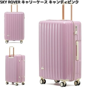 L[P[X@SKY ROVER@XJC[o[@LfBsN@eʖ34L @S25-B-210@@Ή@TSAbN@Xg[C^[iViyiE͏jzy[J[