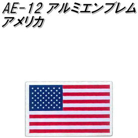 楽天市場 エンブレム アメリカの通販